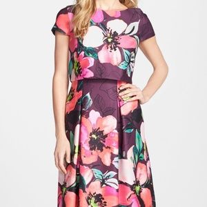 Vince Camuto Floral Scuba Fit and Flare Popover Dr